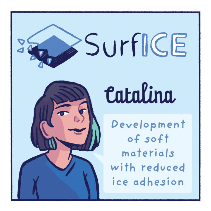#SURFICEcomicseries N°8- Catalina